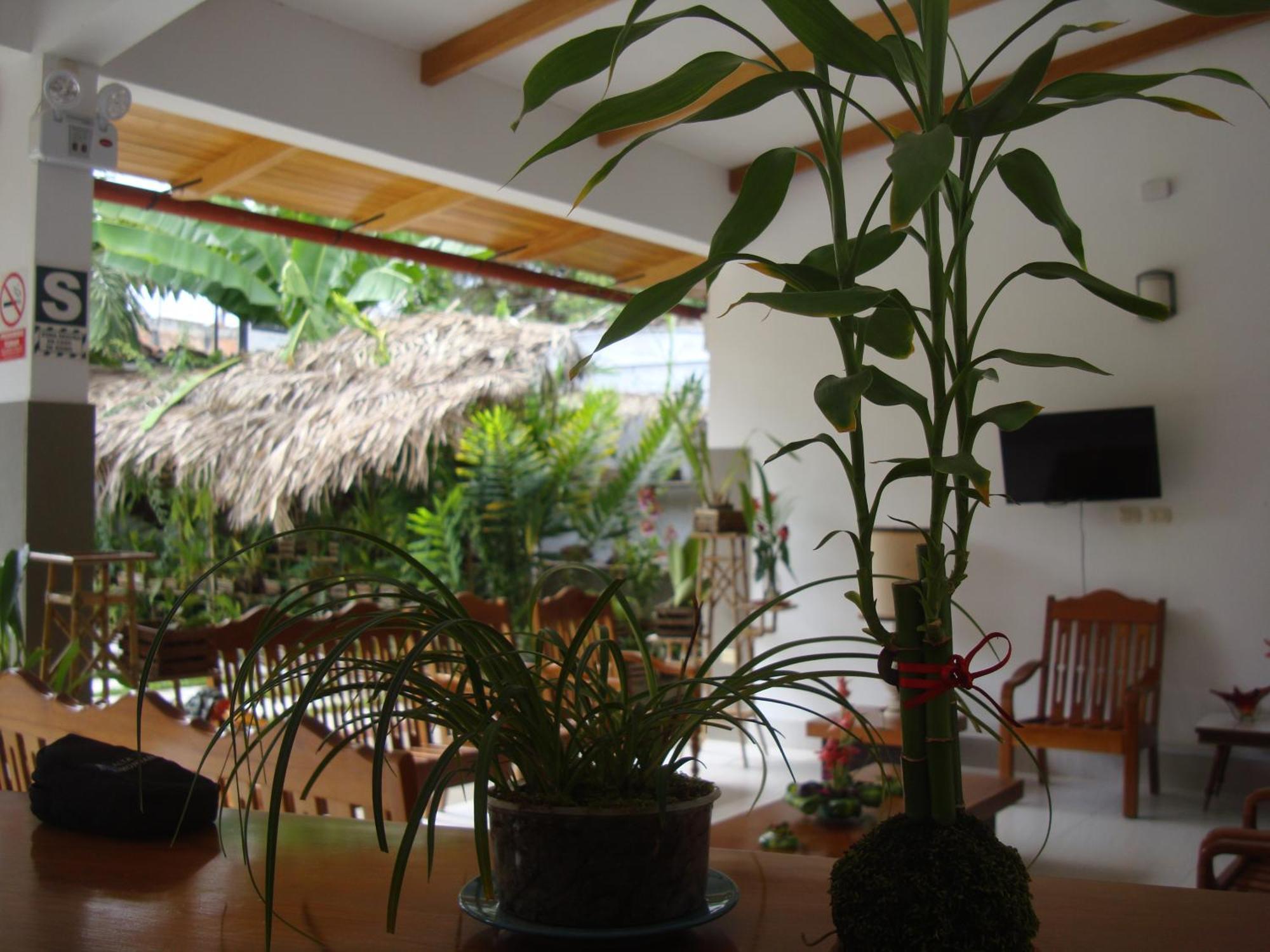 Altavista Casahotel Moyobamba Exteriér fotografie